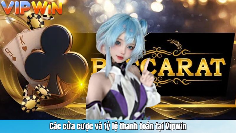 Các cửa cược và tỷ lệ thanh toán tại Vipwin