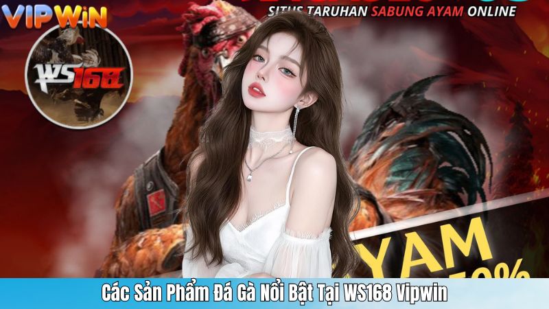 Các Sản Phẩm Đá Gà Nổi Bật Tại WS168 Vipwin