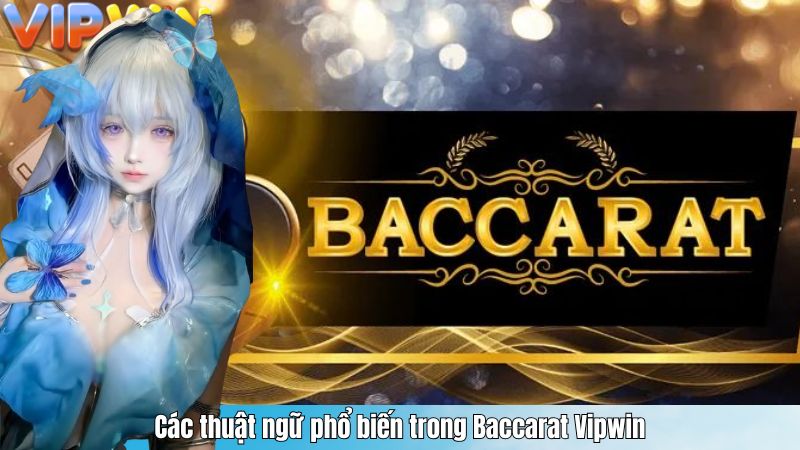 Các thuật ngữ phổ biến trong Baccarat Vipwin