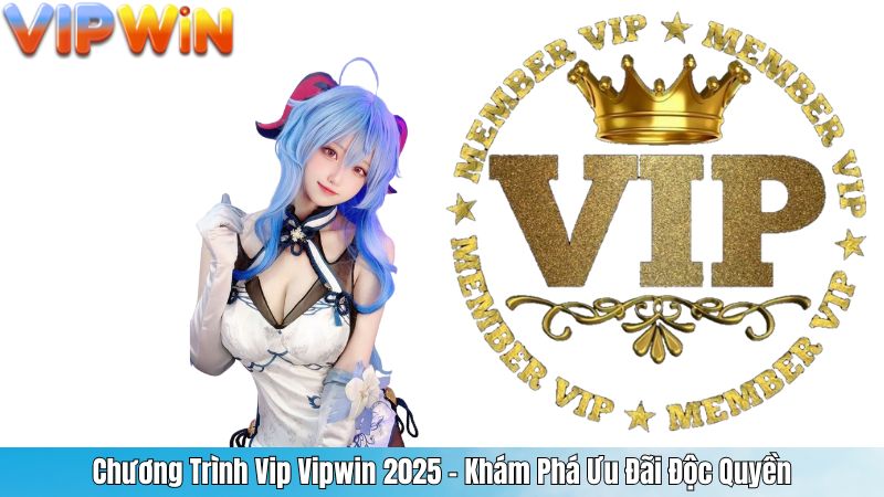 Chương Trình Vip Vipwin 2025 - Khám Phá Ưu Đãi Độc Quyền