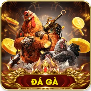 Đá gà sôi động Vin777