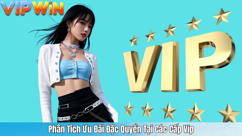 Phân Tích Ưu Đãi Đặc Quyền Tại Các Cấp Vip