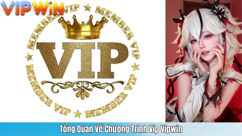 Tổng Quan Về Chương Trình Vip Vipwin