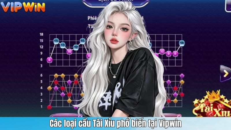 Các loại cầu Tài Xỉu phổ biến tại Vipwin
